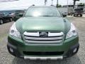 2014 Cypress Green Pearl Subaru Outback 2.5i Limited  photo #8