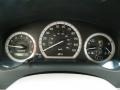 Stone Gauges Photo for 2008 Toyota Sienna #82220056