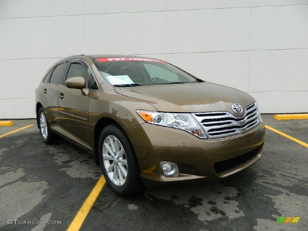 2009 Venza I4 - Golden Umber Mica / Ivory photo #1