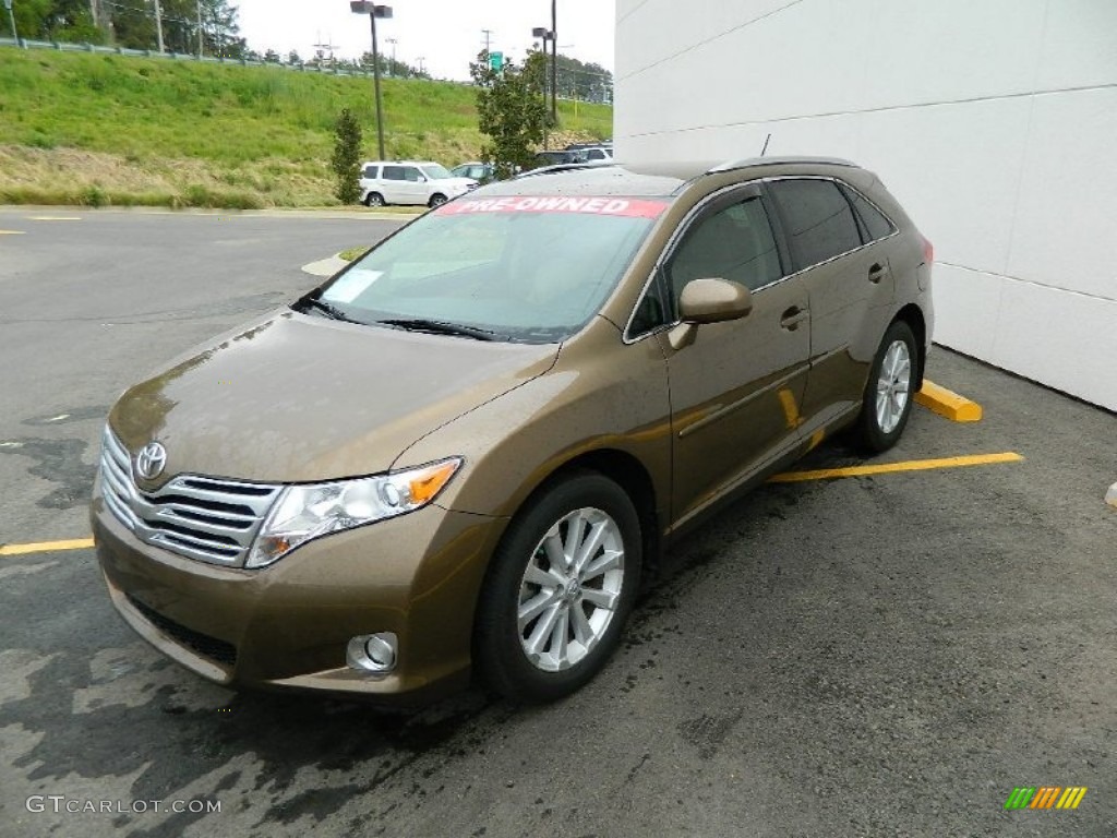 Golden Umber Mica 2009 Toyota Venza I4 Exterior Photo #82222974