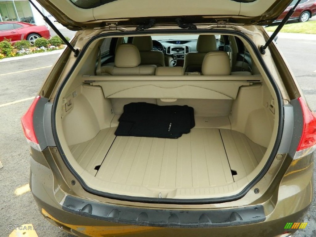 2009 Toyota Venza I4 Trunk Photo #82223178