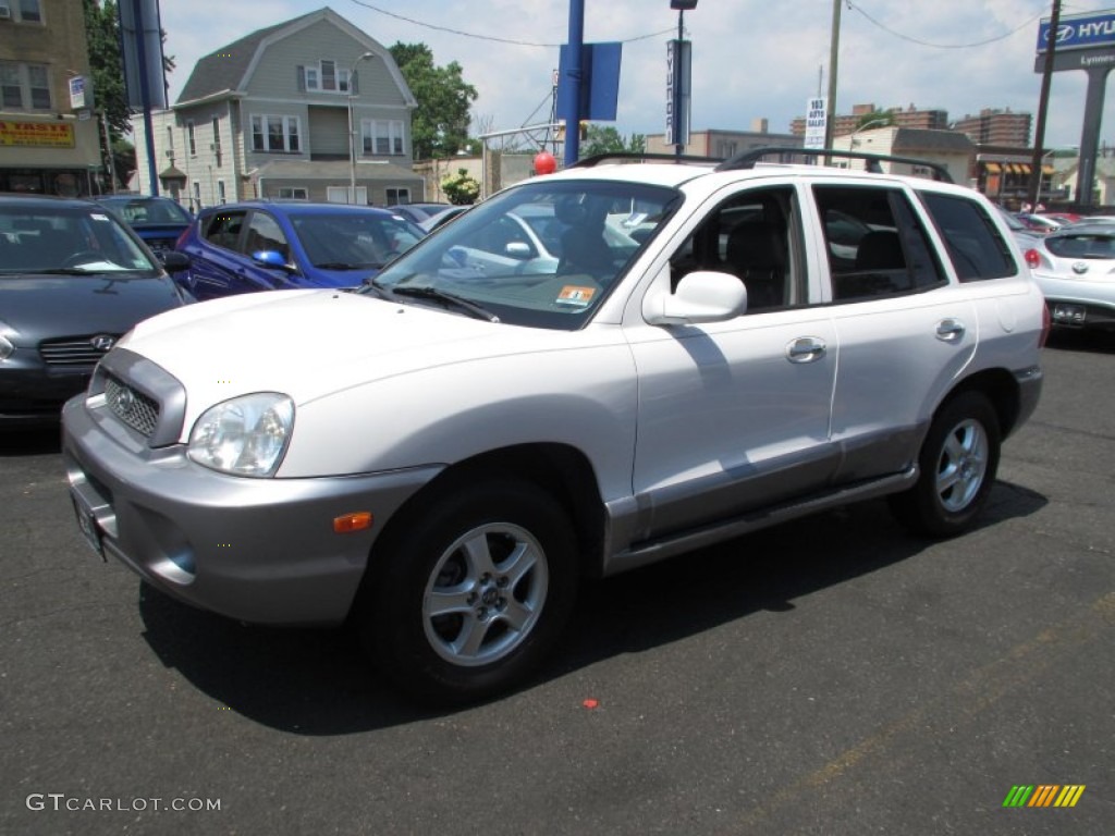 2003 Santa Fe LX - Nordic White / Gray photo #3