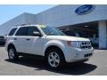 2010 White Suede Ford Escape XLT  photo #1