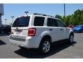 2010 White Suede Ford Escape XLT  photo #3