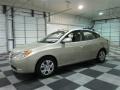 Laguna Sand - Elantra GLS Photo No. 4