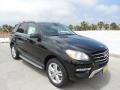 Black - ML 350 4Matic Photo No. 1