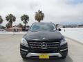 Black - ML 350 4Matic Photo No. 2