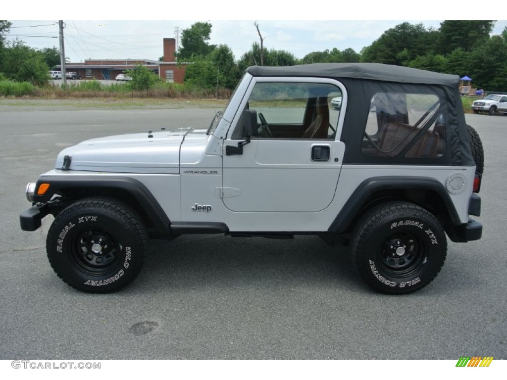 Bright Silver Metallic 2002 Jeep Wrangler Apex Edition 4x4 Exterior Photo #82232976