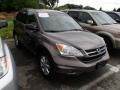Urban Titanium Metallic - CR-V SE 4WD Photo No. 1