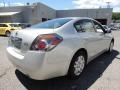 Brilliant Silver - Altima 2.5 S Photo No. 7