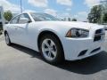 Ivory Pearl - Charger SE Photo No. 4