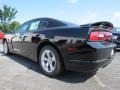 Pitch Black - Charger SE Photo No. 2