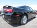 Pitch Black - Charger SE Photo No. 3