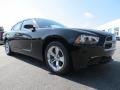 Pitch Black - Charger SE Photo No. 4
