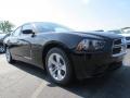 Pitch Black - Charger SE Photo No. 4