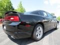 Pitch Black - Charger SE Photo No. 3