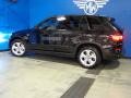 2011 Black Sapphire Metallic BMW X5 xDrive 50i  photo #5