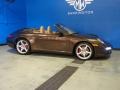 2010 Macadamia Metallic Porsche 911 Carrera 4S Cabriolet  photo #7