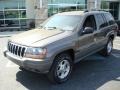 Taupe Frost Metallic - Grand Cherokee Laredo 4x4 Photo No. 3