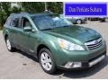 2010 Cypress Green Pearl Subaru Outback 2.5i Limited Wagon  photo #1