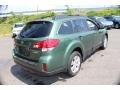 2010 Cypress Green Pearl Subaru Outback 2.5i Limited Wagon  photo #6