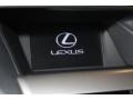 2010 Tungsten Silver Pearl Lexus RX 450h AWD Hybrid  photo #13