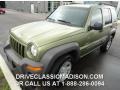 Cactus Green Pearl 2004 Jeep Liberty Sport 4x4