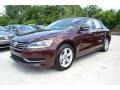 Opera Red Metallic - Passat 2.5L SE Photo No. 1