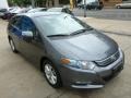 Polished Metal Metallic - Insight Hybrid EX Photo No. 3