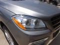 Palladium Silver Metallic - ML 350 4Matic Photo No. 14
