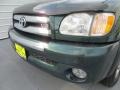 2003 Imperial Jade Green Mica Toyota Tundra SR5 TRD Access Cab  photo #10