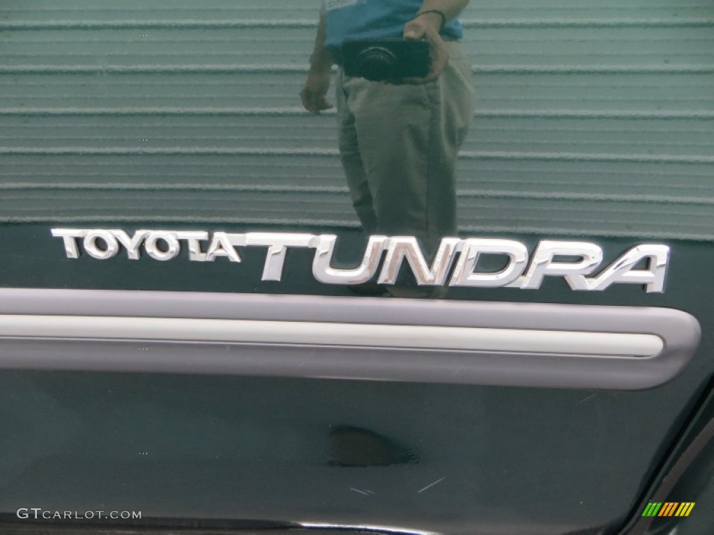 2003 Tundra SR5 TRD Access Cab - Imperial Jade Green Mica / Oak photo #15