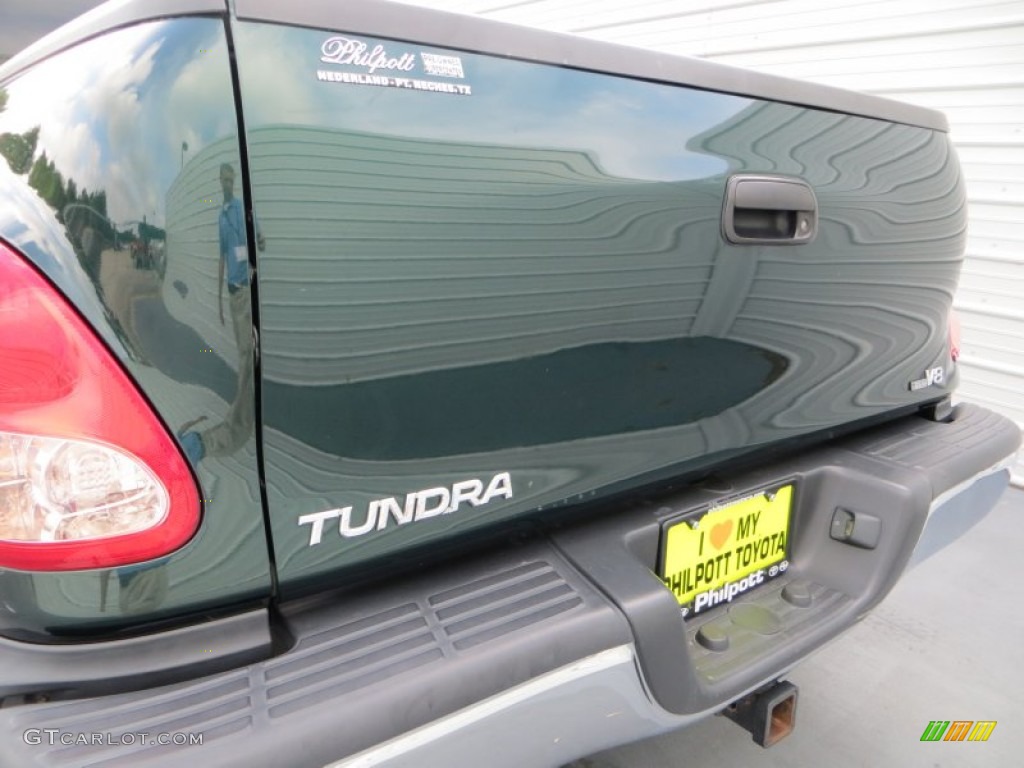 2003 Tundra SR5 TRD Access Cab - Imperial Jade Green Mica / Oak photo #24