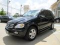 Black - ML 350 4Matic Photo No. 5
