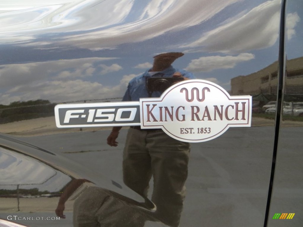 2013 F150 King Ranch SuperCrew 4x4 - Kodiak Brown Metallic / King Ranch Chaparral Leather photo #13