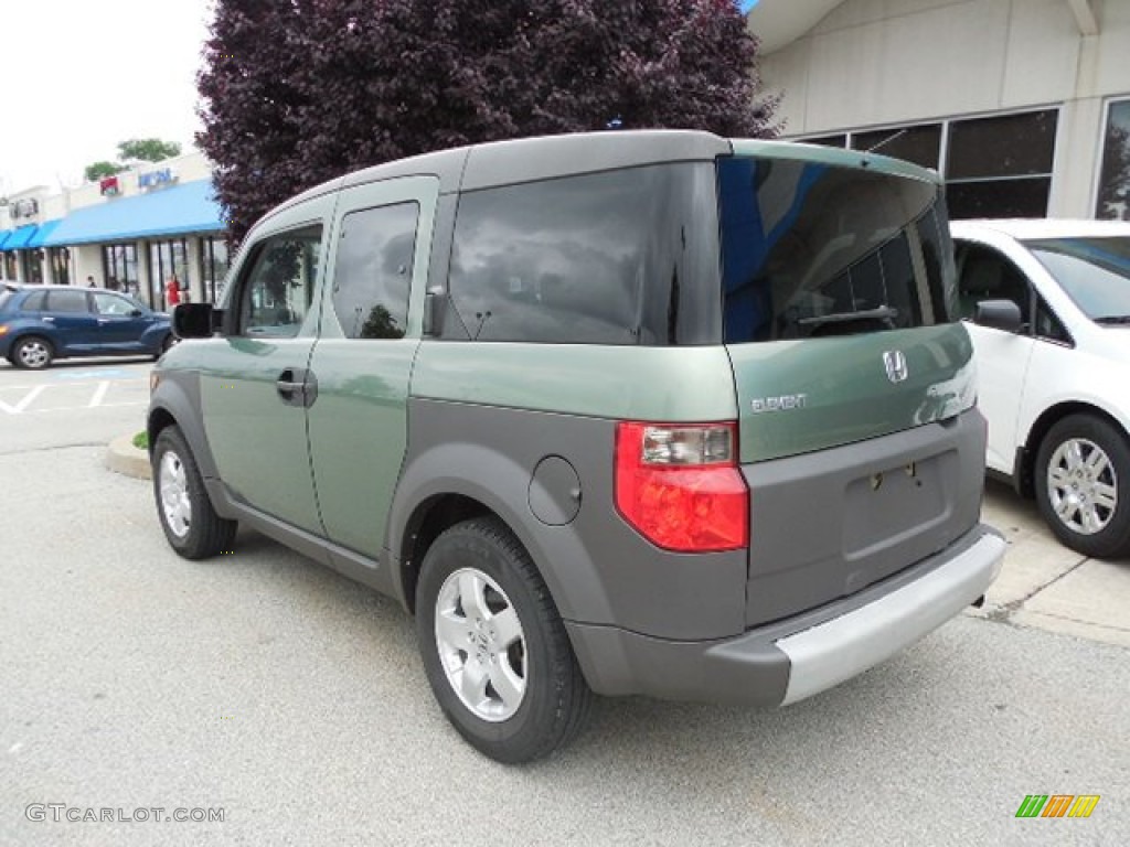 2003 Element EX AWD - Galapagos Green Metallic / Gray photo #3