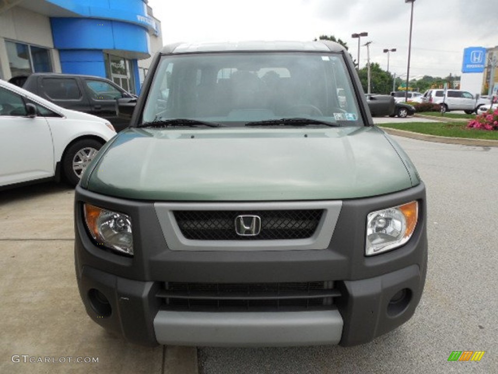 2003 Element EX AWD - Galapagos Green Metallic / Gray photo #6