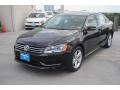 Black - Passat 2.5L SE Photo No. 3