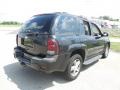 Black - TrailBlazer LS 4x4 Photo No. 18