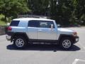 Titanium Metallic - FJ Cruiser 4WD Photo No. 4