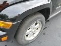 Black Clearcoat - Liberty Sport 4x4 Photo No. 8