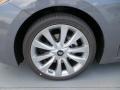 Smoke Gray Metallic - Azera  Photo No. 10