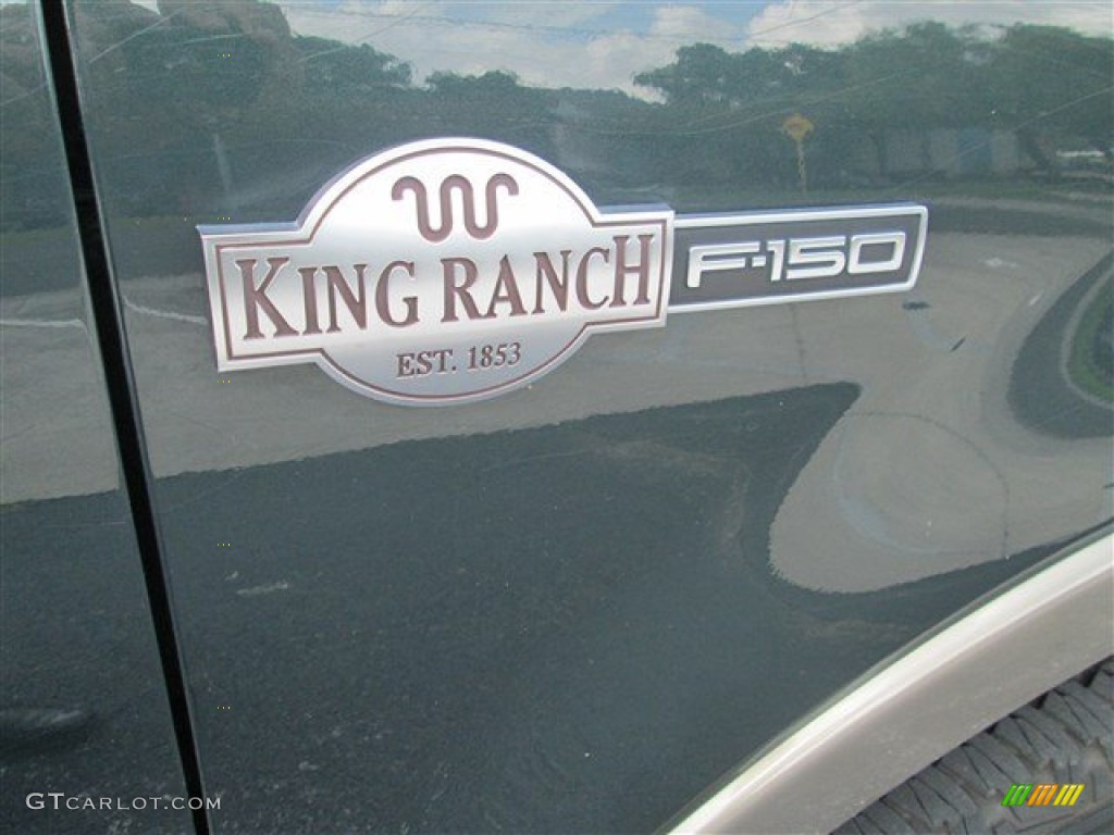2005 F150 King Ranch SuperCrew 4x4 - Aspen Green Metallic / Tan photo #2