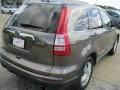 2010 Urban Titanium Metallic Honda CR-V EX AWD  photo #5