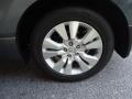 Polished Metal Metallic - RDX SH-AWD Photo No. 10