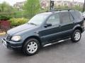 1999 Black Opal Metallic Mercedes-Benz ML 430 4Matic  photo #2