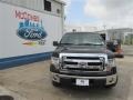 Kodiak Brown Metallic - F150 XLT SuperCrew Photo No. 1