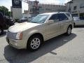 Gold Mist - SRX V6 Photo No. 2
