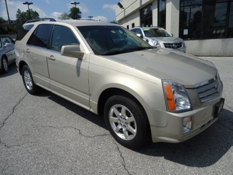 2009 Cadillac SRX V6 Data, Info and Specs