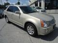 Front 3/4 View of 2009 SRX V6